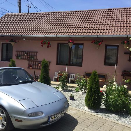 Casa Rustica Cu Terasa Vila Mediaş Exterior foto