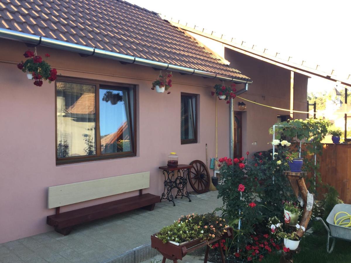Casa Rustica Cu Terasa Vila Mediaş Exterior foto