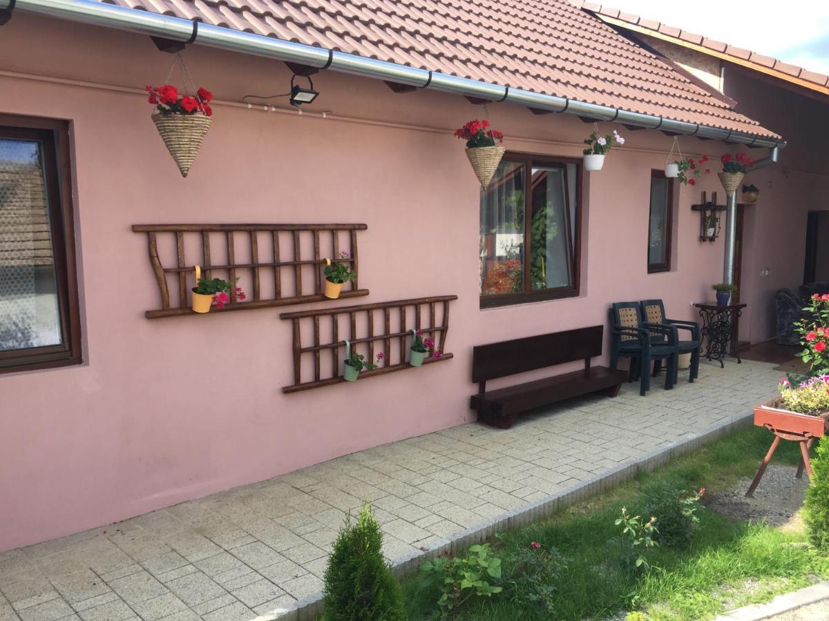 Casa Rustica Cu Terasa Vila Mediaş Exterior foto
