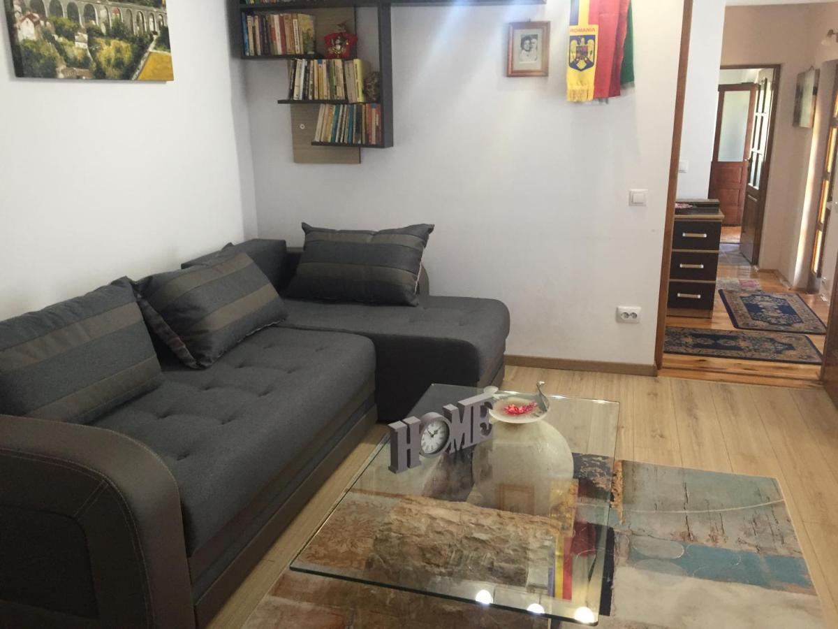 Casa Rustica Cu Terasa Vila Mediaş Exterior foto