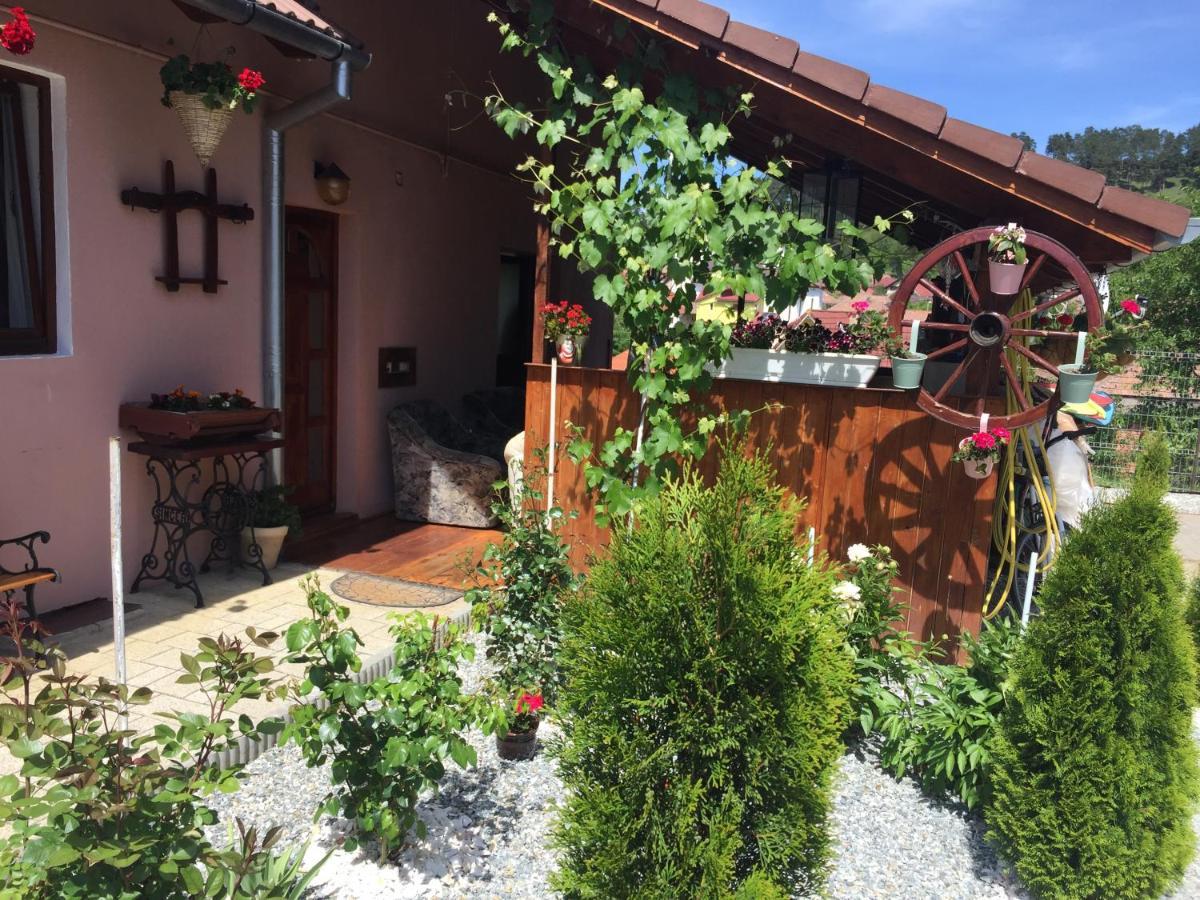 Casa Rustica Cu Terasa Vila Mediaş Exterior foto